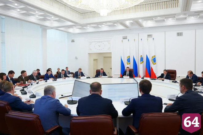 Саратовский губернатор поручил усилить контроль за бездомными животными 
