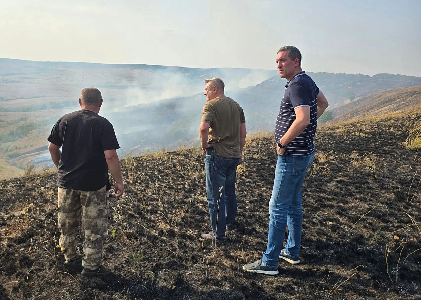 В Саратовской области общими усилиями локализовали природный пожар
